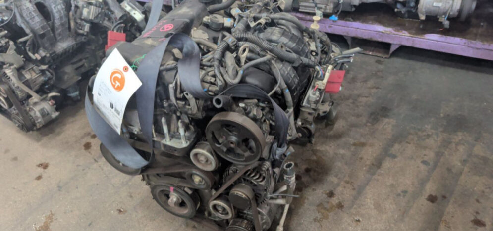 b407cc0295a8fc540cb966b44cff8917